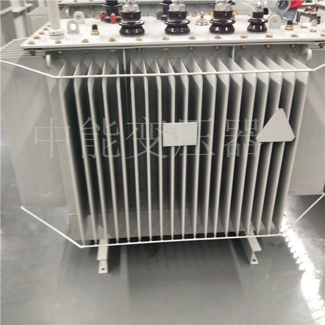 荆州S20-800KVA变压器