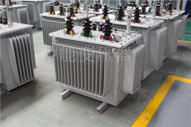 荆州S22-100KVA/10KV/0.4KV变压器